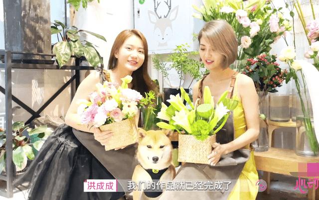 逃离橡子树种植地
